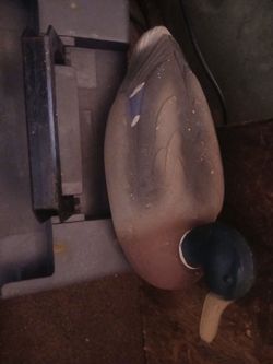 Duck and hen decor