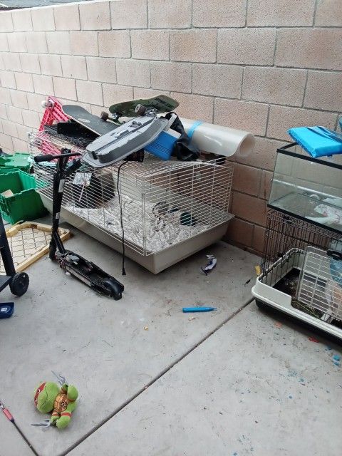 Aquarium Guinea Pig Cages
