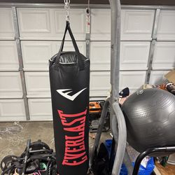 Everlast punching bag and stand