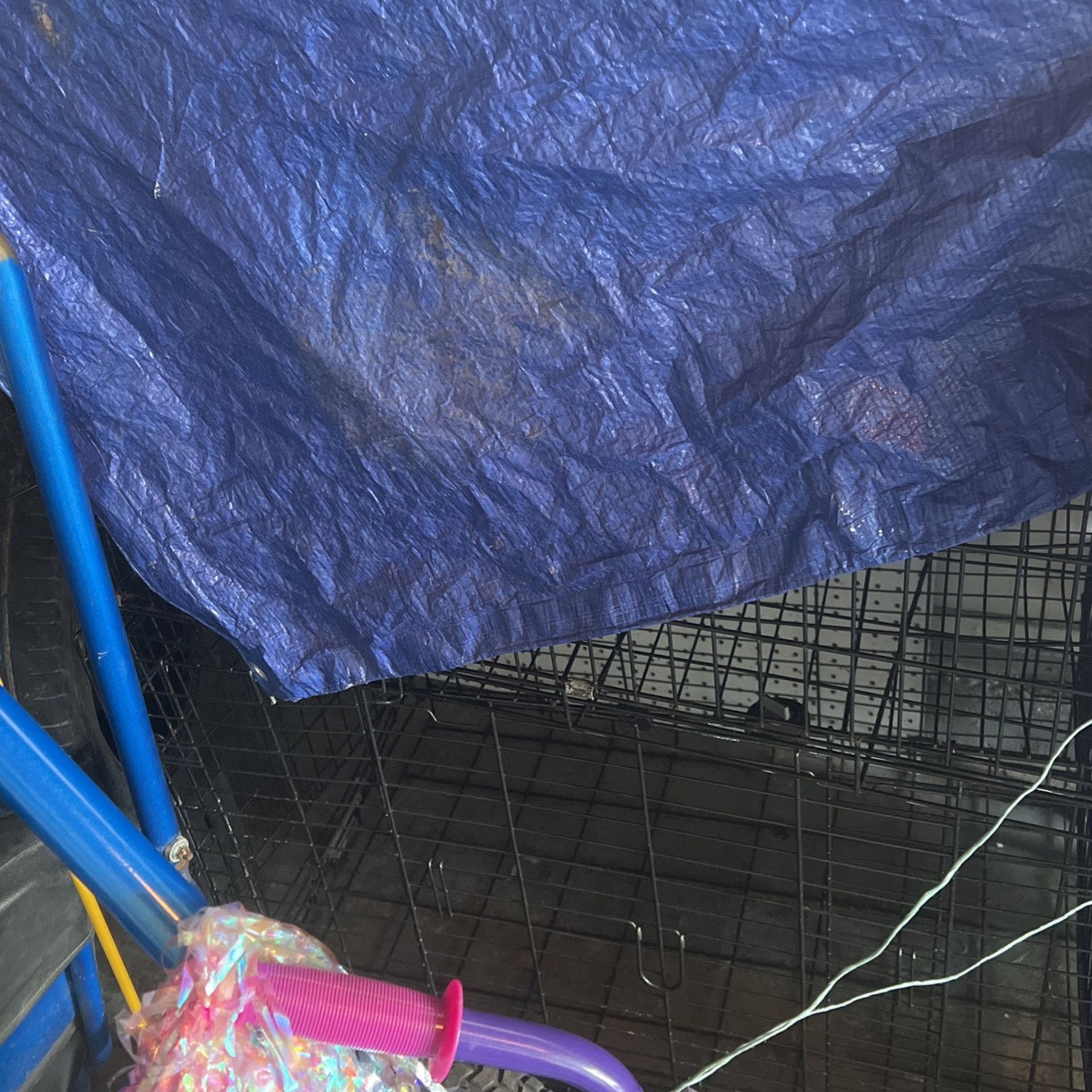 Dog Cage