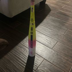 Easton Dub 31in, 26oz, 2 3/4” Baseball Bat