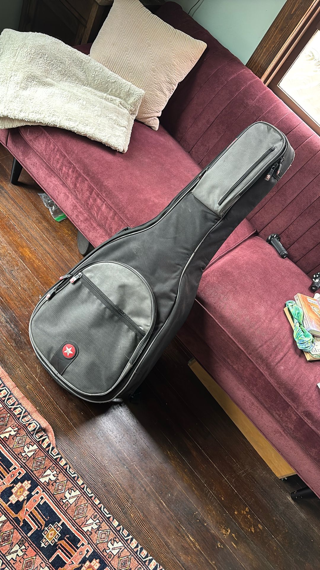 Guitar Case Roadrunner Soft Case