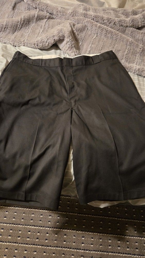 Dickies Shorts 44