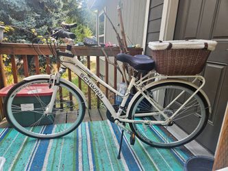 Schwinn Bike