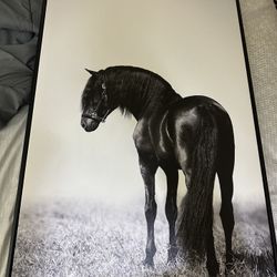 Cuadro Grande Caballo