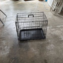 DC-24D-Black For Dog