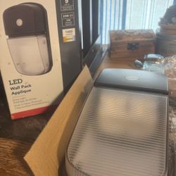 Entry Light (wall Mount) 