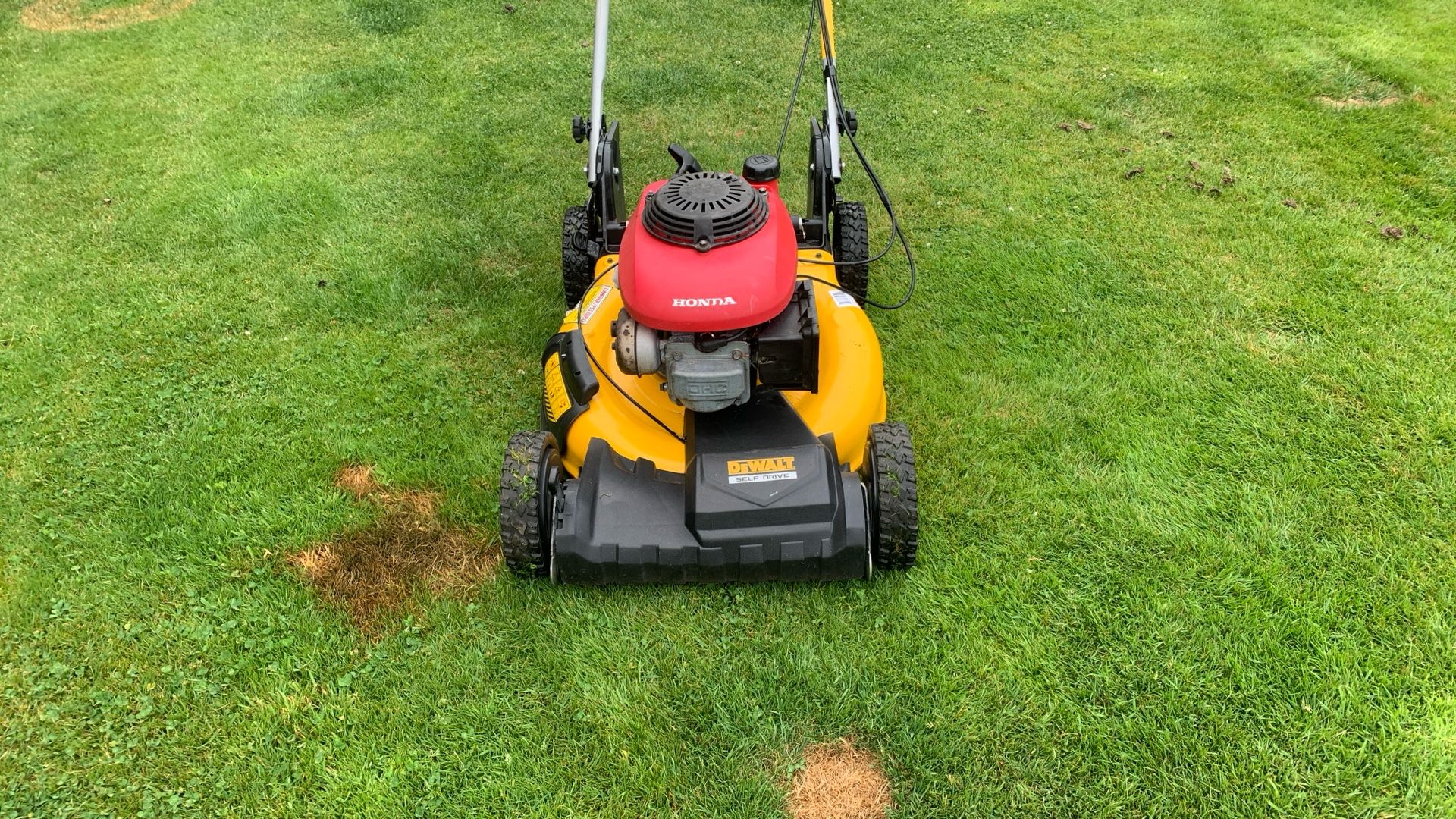 Custom Dewalt Mower