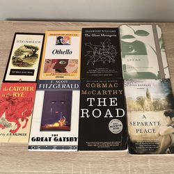 8 Used Classic High School/College Level Literature Novels