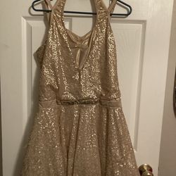 Gold Dance Or Ice skating Dress XL