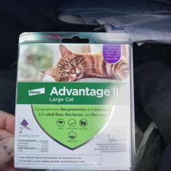 Advantage 2 For Cats