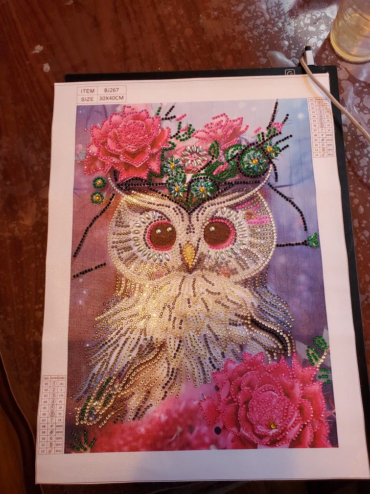 Owl Rhinestone Diamond Painting