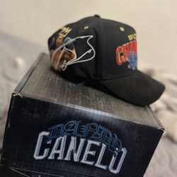 BRAND NEW!  (I Don’t Like The Hat That Much) $100