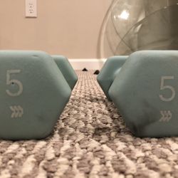 5 Pound Dumbells