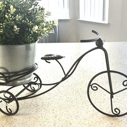 plant holder rod iron bikes