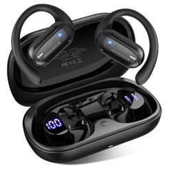 AI Translation Earbuds