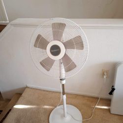 Fans Like New