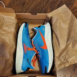 Nike Pegasus (Size 12.5)