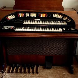 Con Organ with Teaching Tools