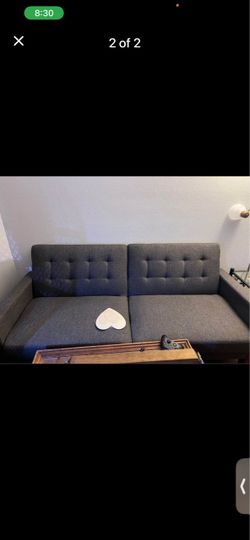 Gray Tufted Futon Sofa