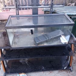 Reptile Tank With Light