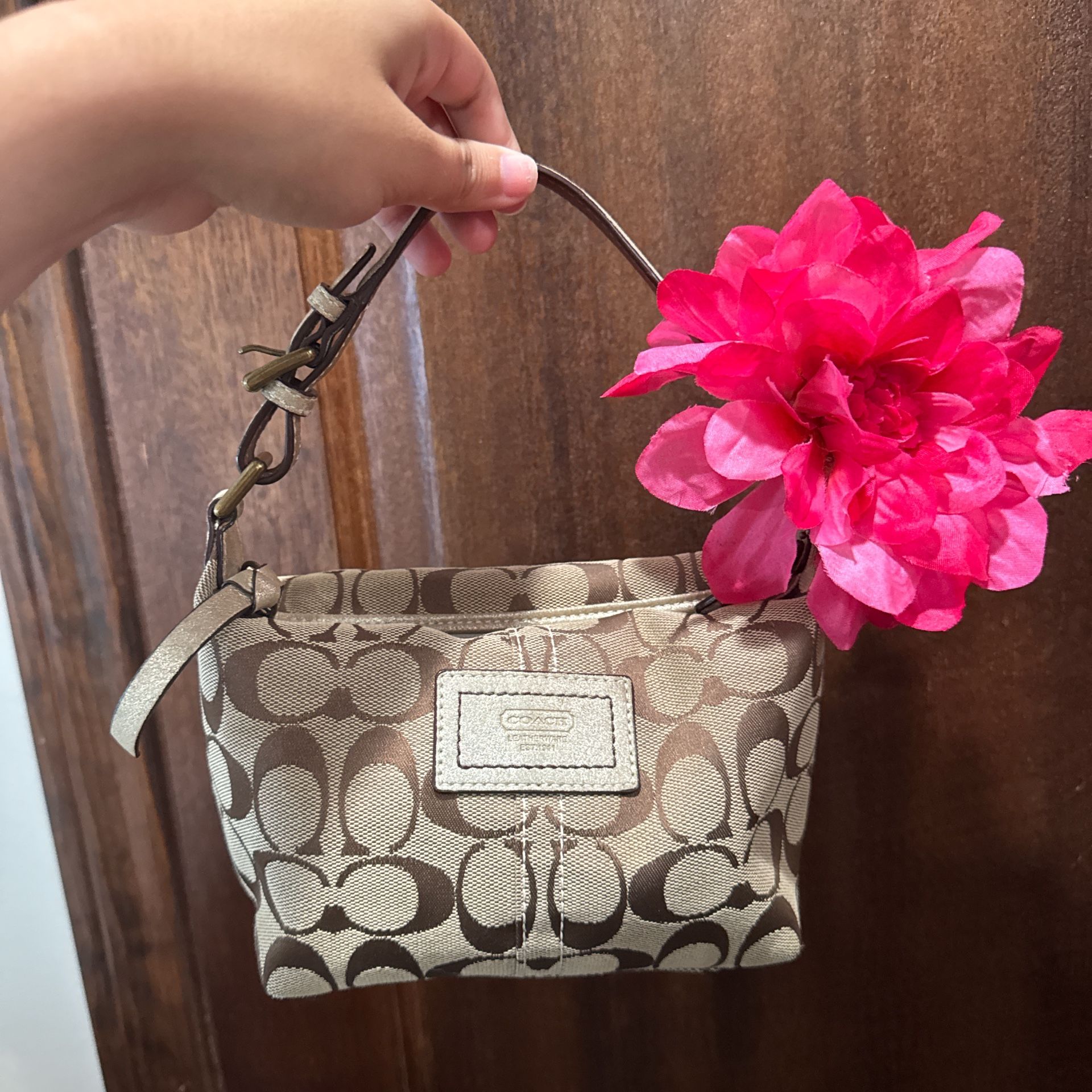 Mini Coach Bag