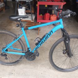 Hybrid Schwin Copeland Bike