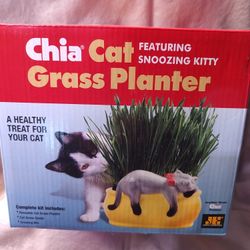 Chia Pet Cat Grass Planter