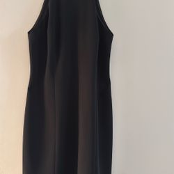 Elegant Sleeveless Dress