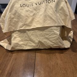 Louis Vuitton Bag 