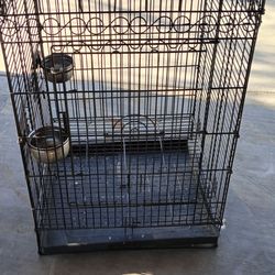 Bird Cage 30x20