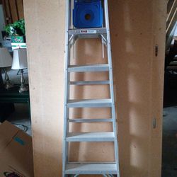6'  Ladder