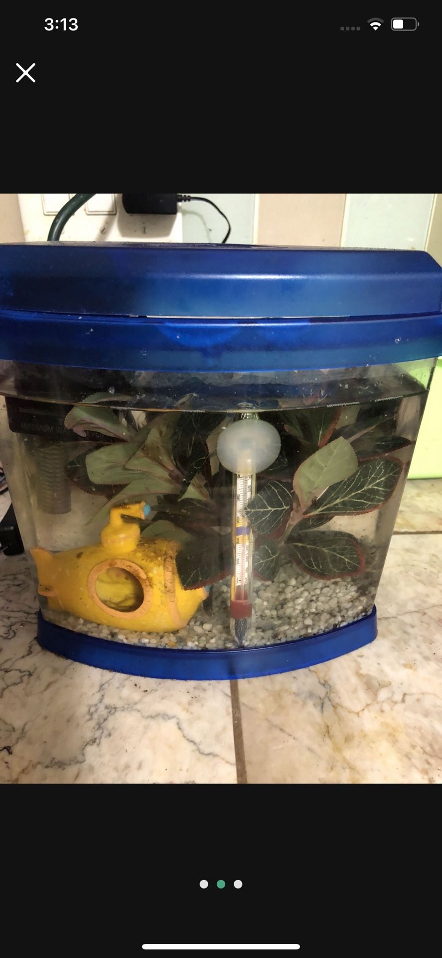 Fish Tank For Fishes