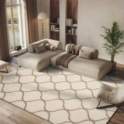 8×10 Area Rug Thick And Fluffy 