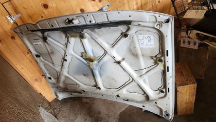 Hood for Toyota Tacoma 1999 4WD