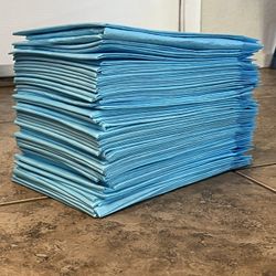 Large Puppy Training Pads 55 Count 