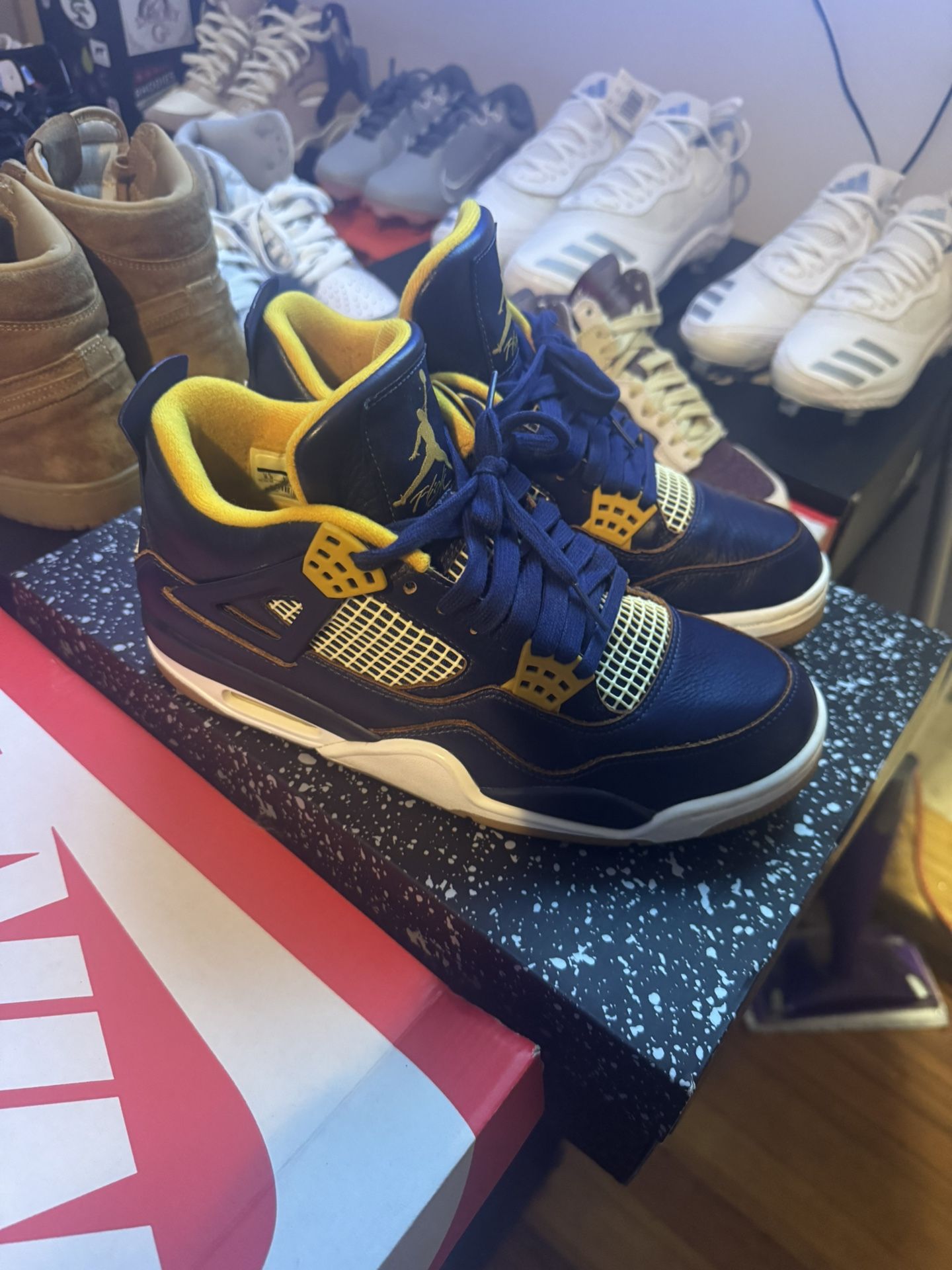 Jordan 4 Dunk From Above Size 8.5