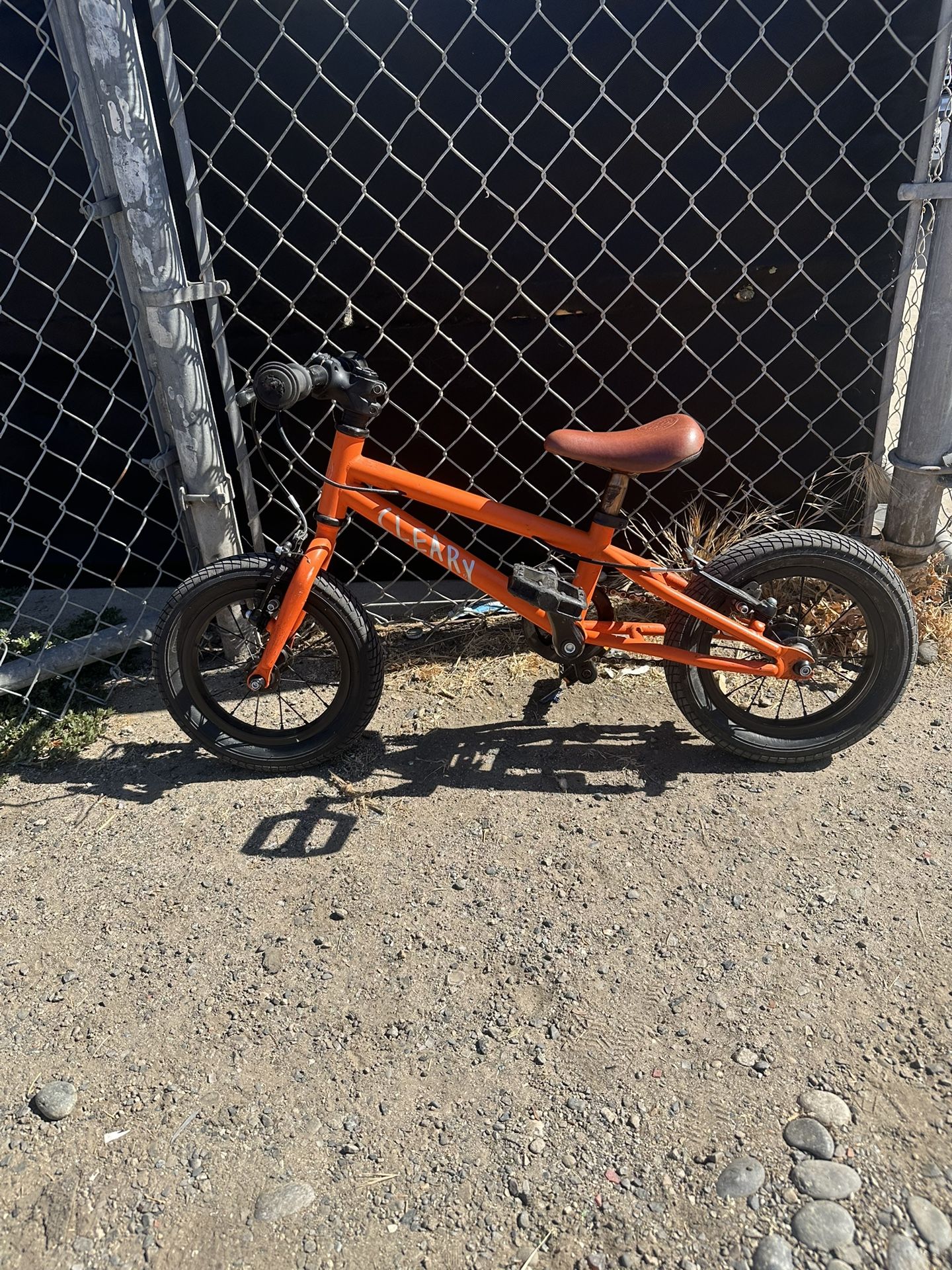 Clearly Gecko Bike