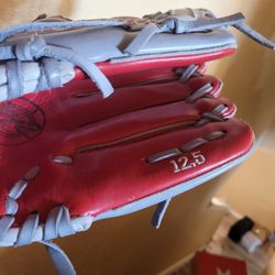 Brand New Custom Softball Glove