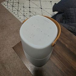 Bright MAX Indoor/Outdoor Bluetooth Speaker