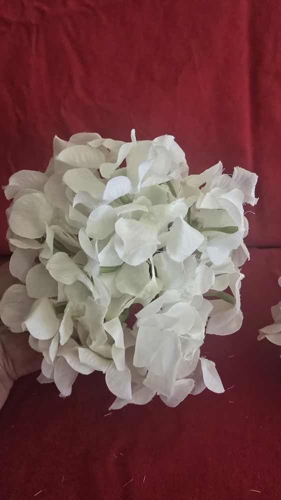 Hydrangea Single Flower Jead