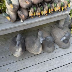 Duck & Goose Decoys
