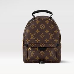 BackPack Purse 