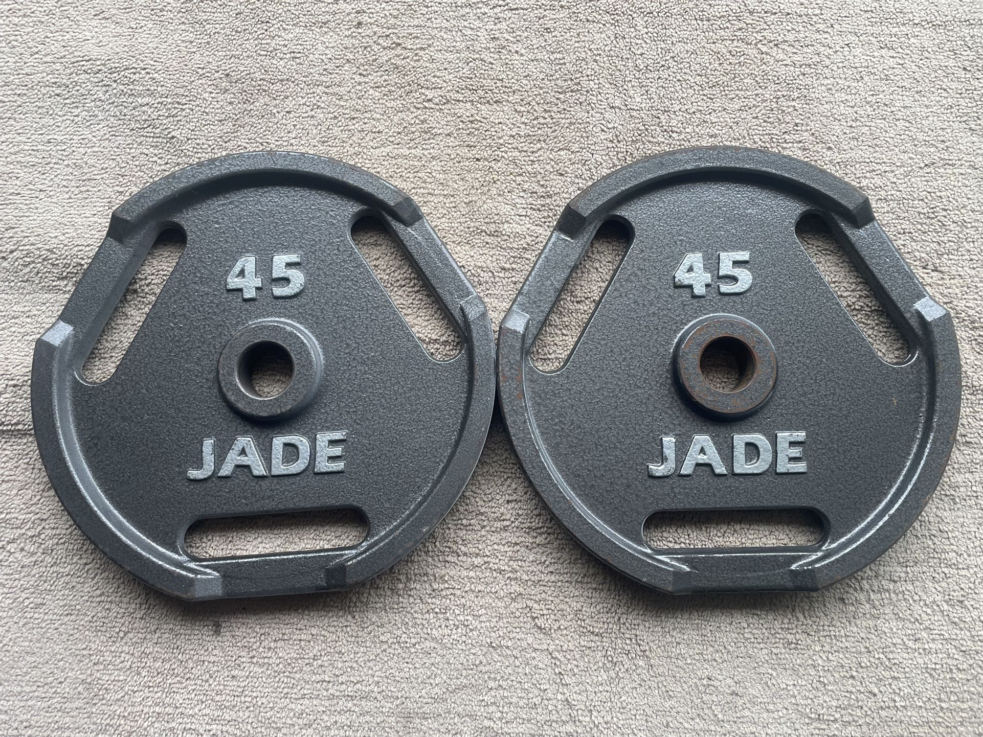 Pair of 45 lbs Olympic Weight Plates (2 In) - Firm Price