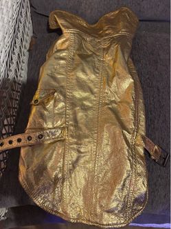 Beautiful gold lame dog jacket