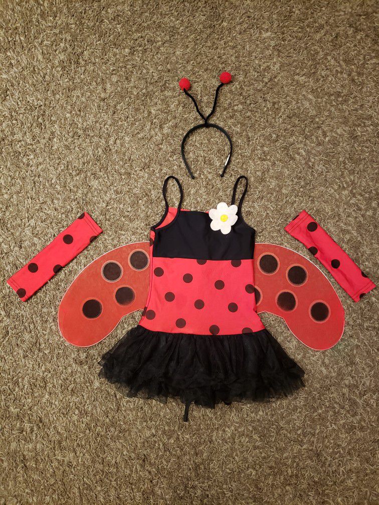 Ladybug Costume, Little Girl Size Small