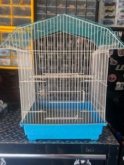 Bird Cage