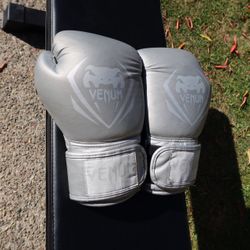 Venum Elite Boxing Gloves 