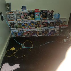 Funko Pop only one
