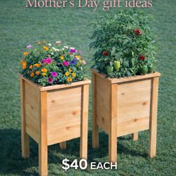 Cedar Planter Boxes
